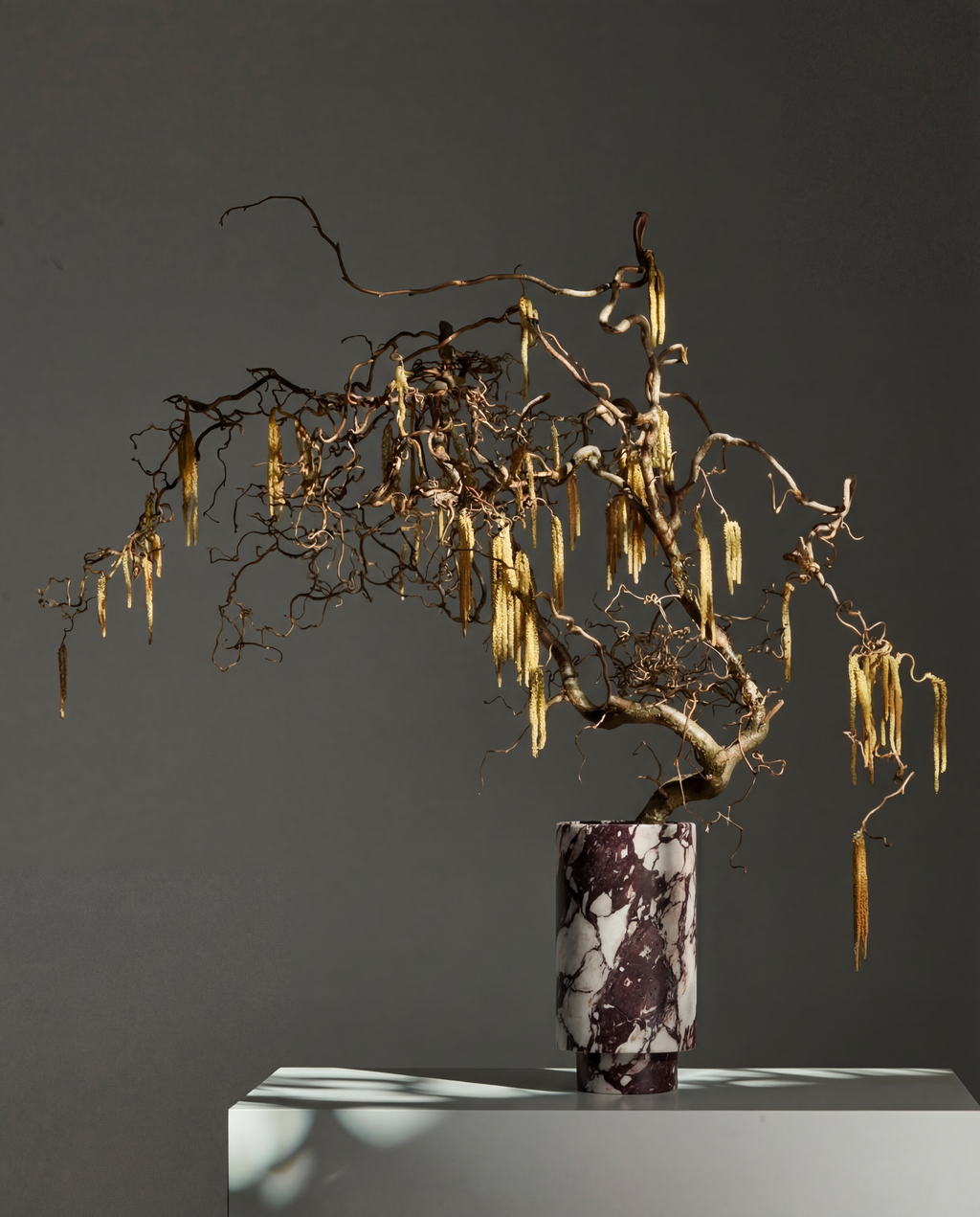 Strata Object in Breccia Viola